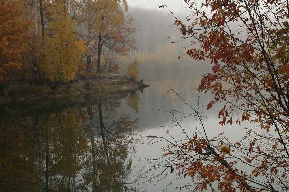 Photograph by Ирина Архипова