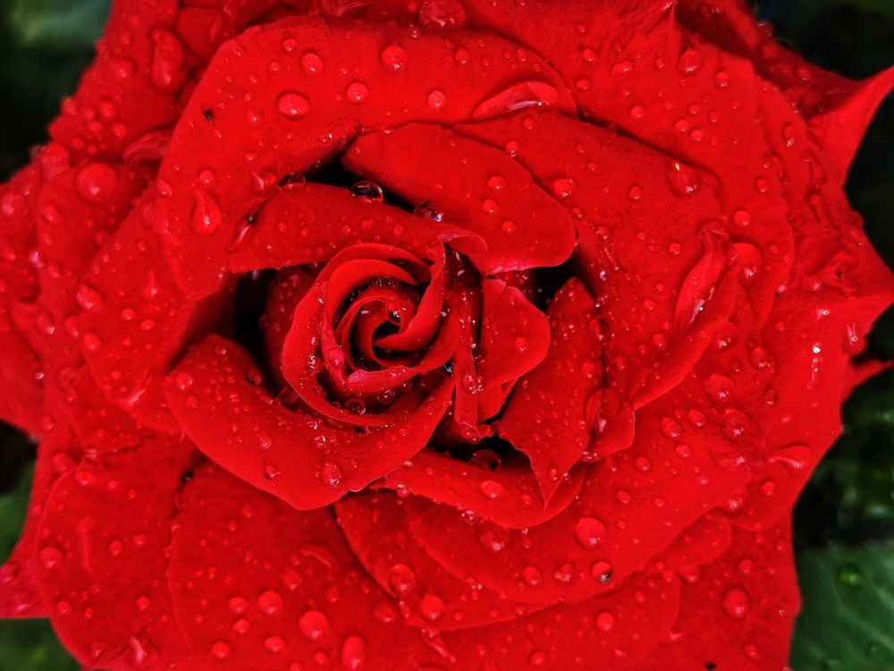 Фотография автора Petar Metić