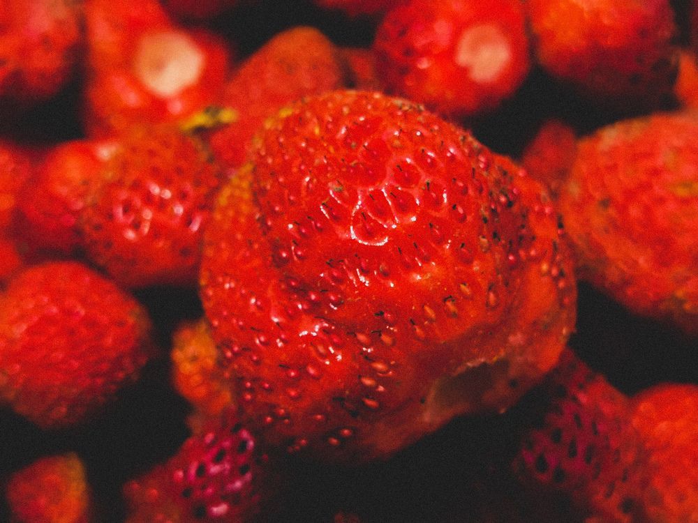 Фотография автора Petar Metić