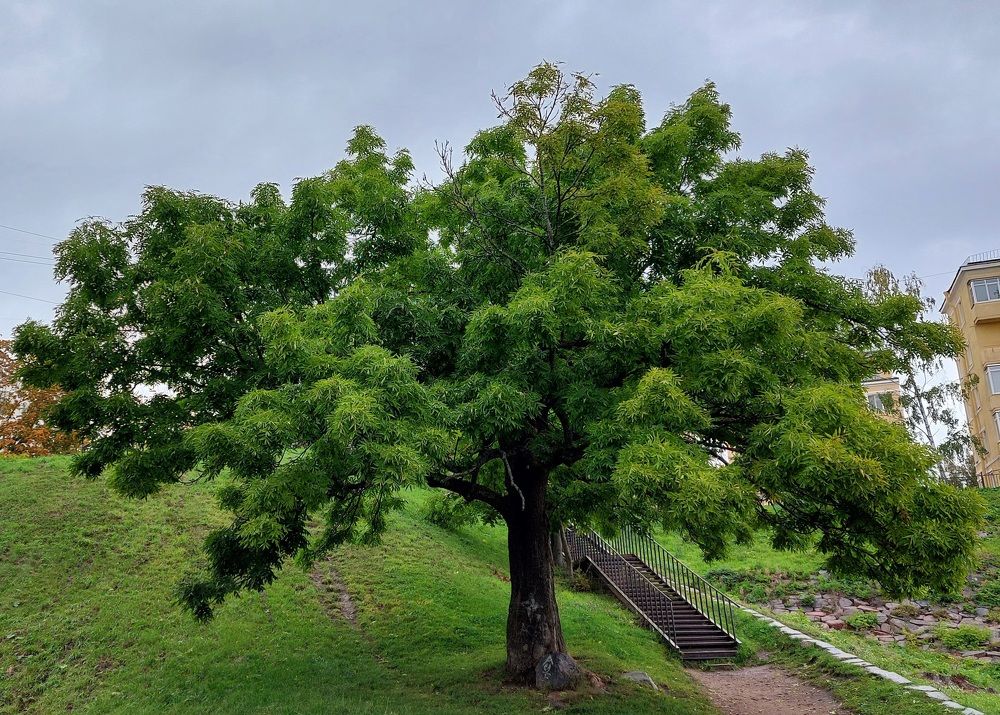 Photograph by Наталья Дубовкина