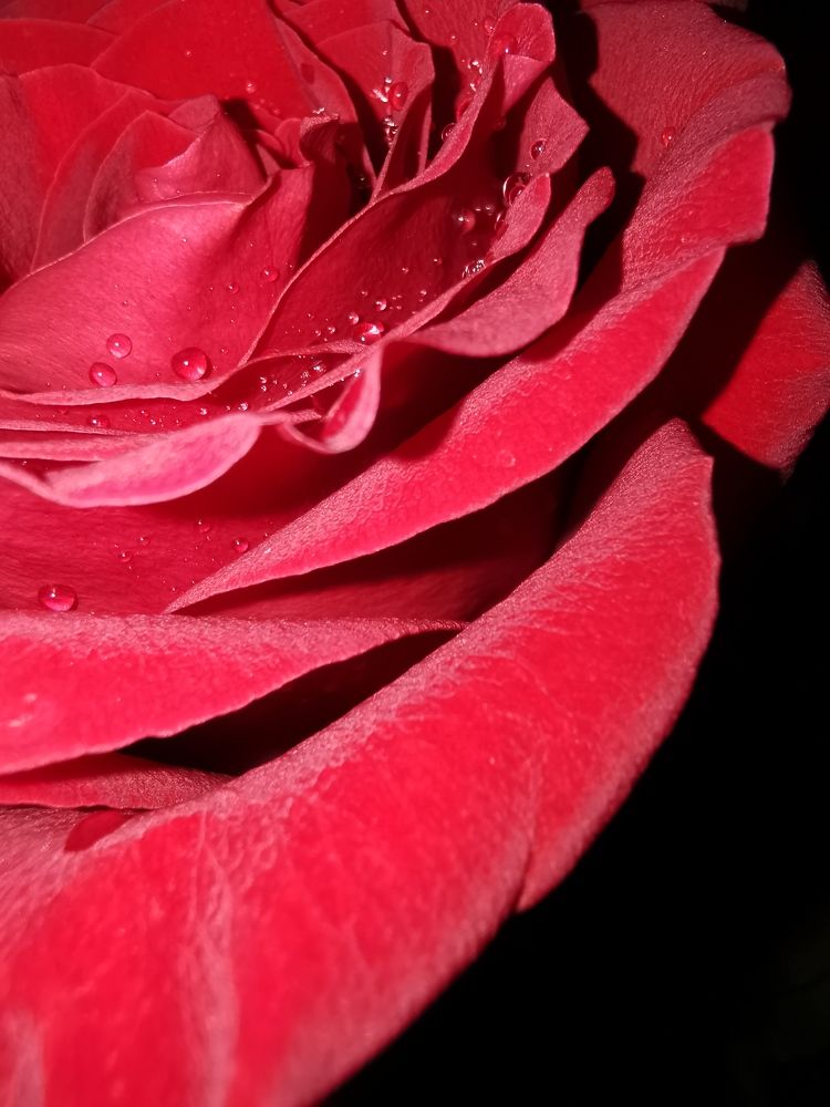 Магия красного