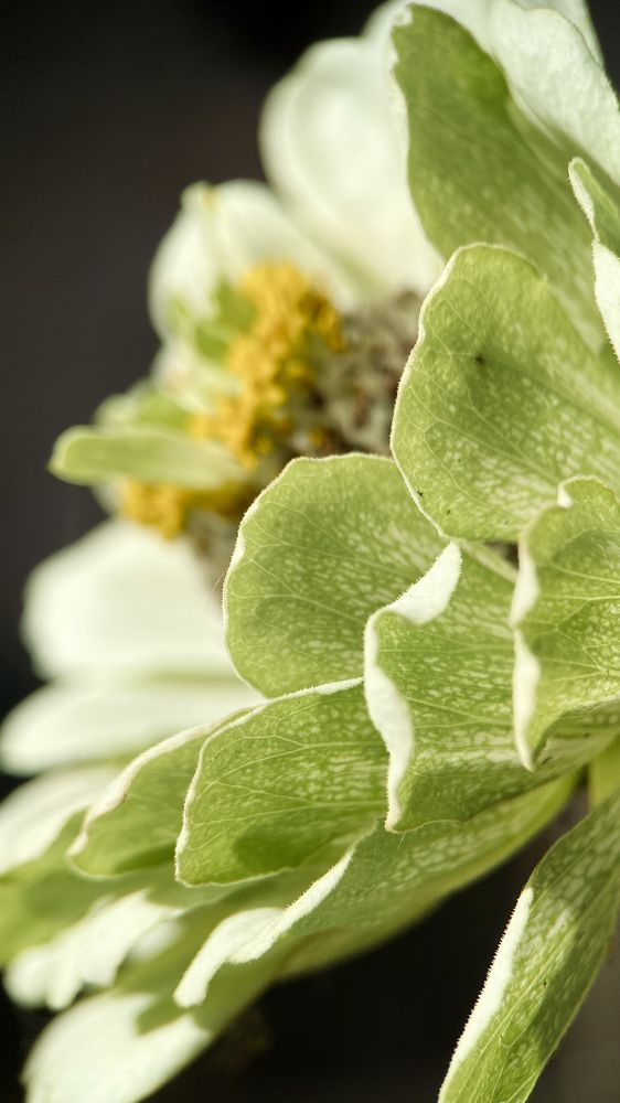 Photograph by Яна Колчанова