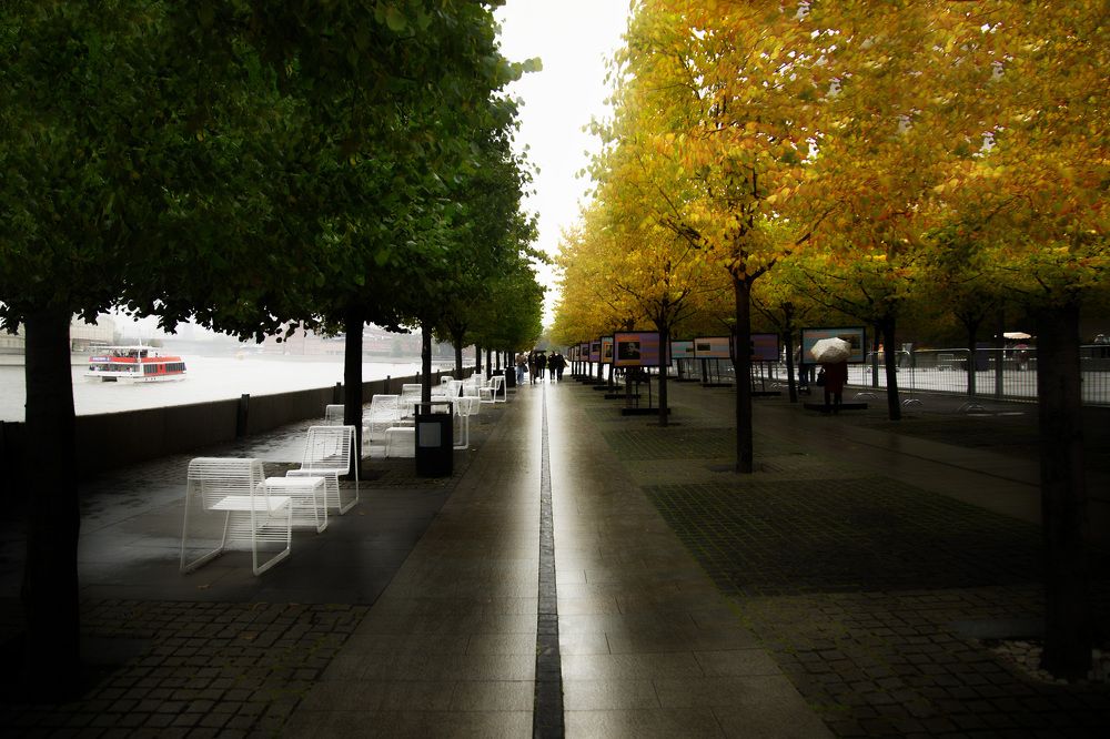 Photograph by Марианна Привроцкая