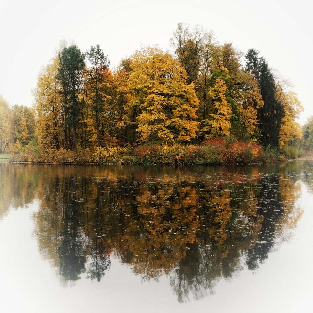 Photograph by Василий Селиванов