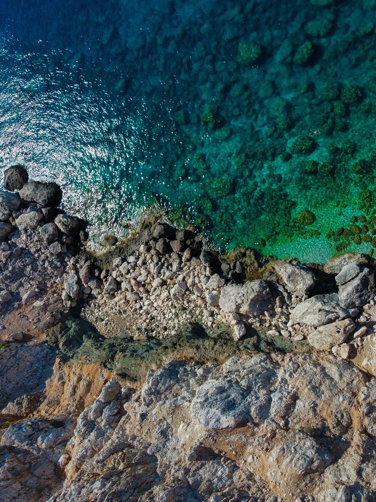Photograph by Александра