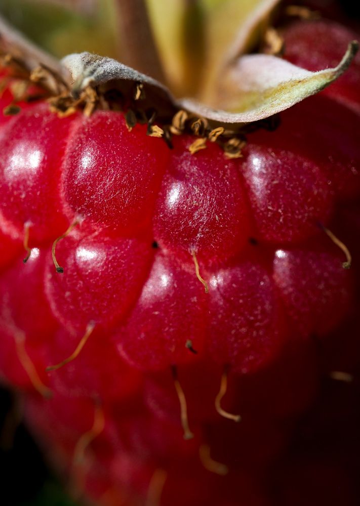 Photograph by Anna Ahiska