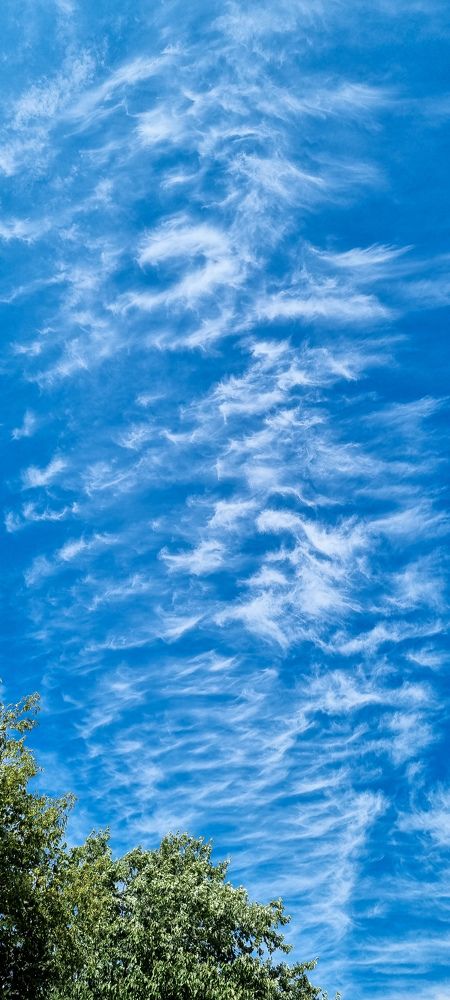 Photograph by Anna Ahiska