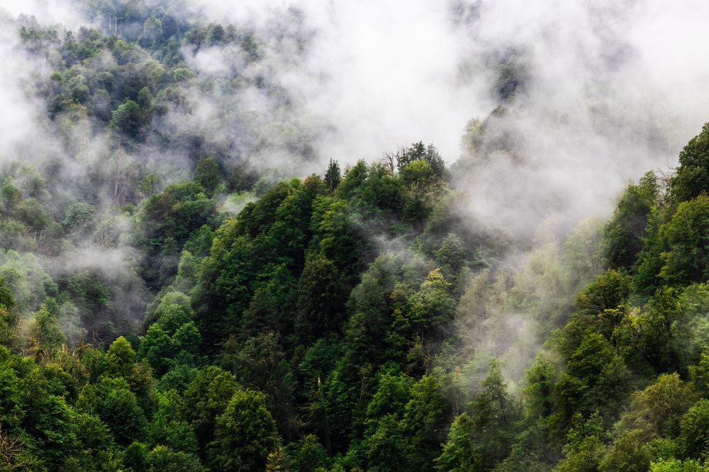 Photograph by Сергей Бадалов