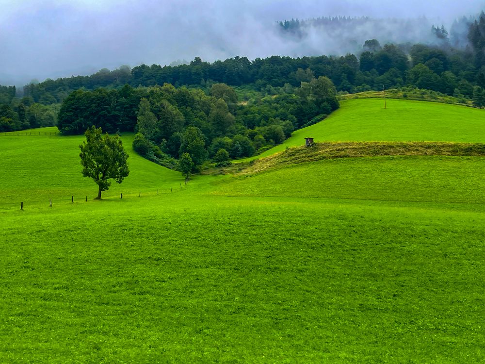 Photograph by Анжелика Костин