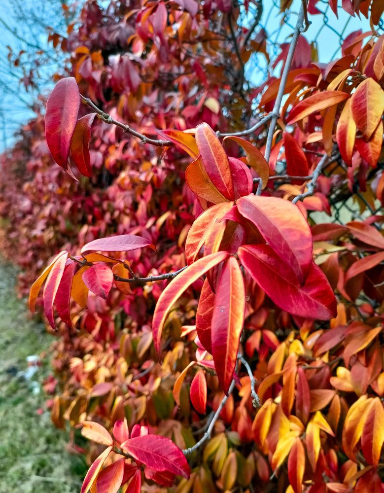 Photograph by Martina Bortoluzzi