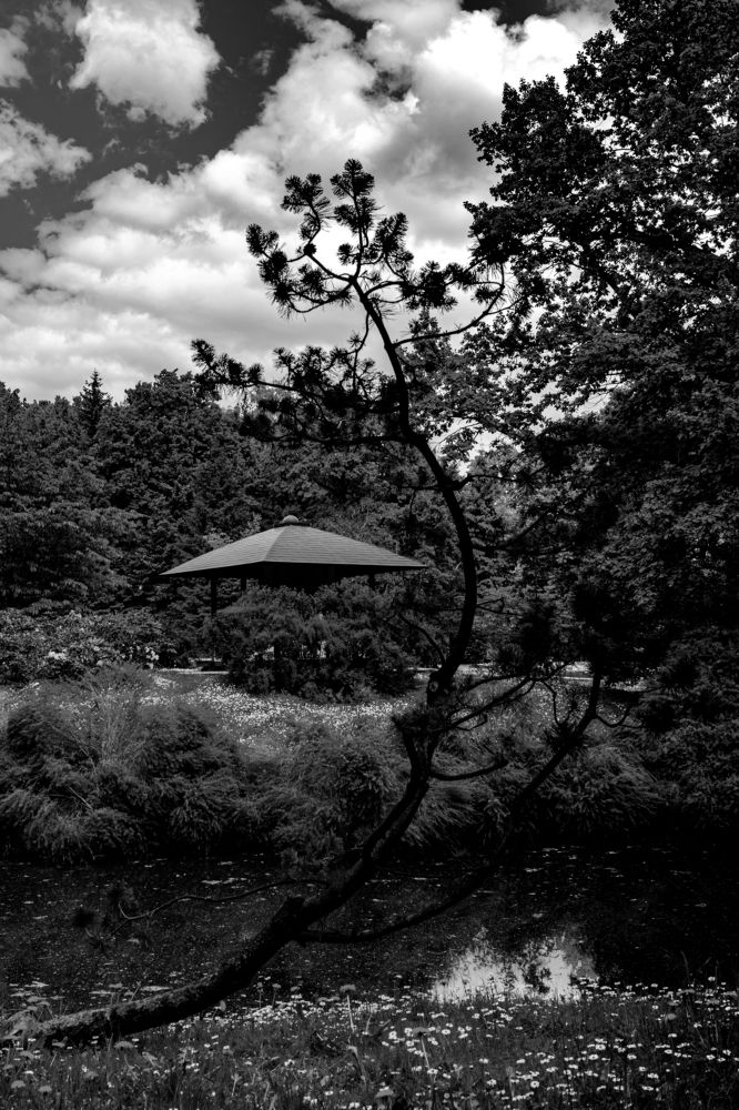 Photograph by Сергей Аникушин