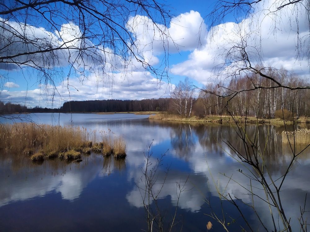 Photograph by Елена Смирнова