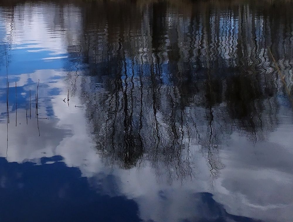 Photograph by Елена Смирнова