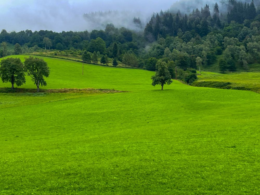 Photograph by Анжелика Костин