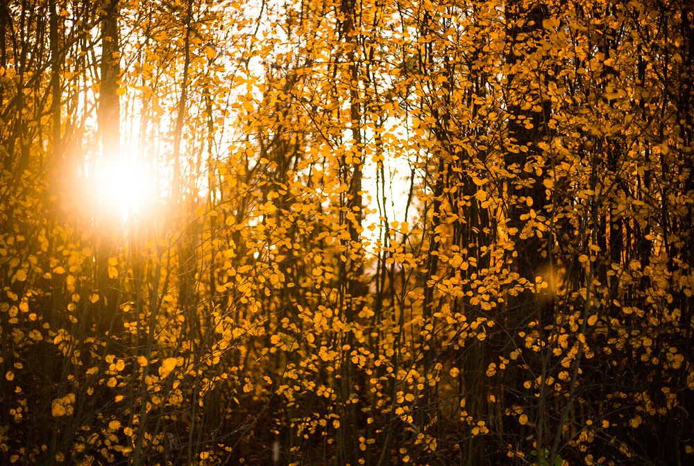 Photograph by Rimma Larkina