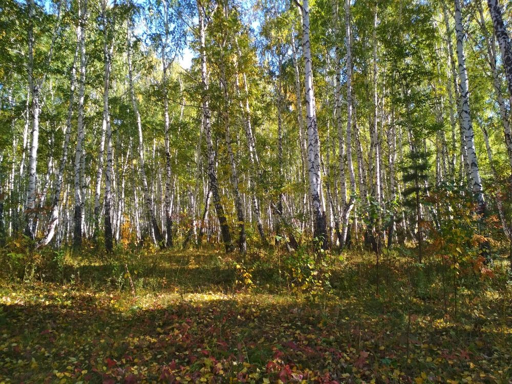 Photograph by Владислав Д