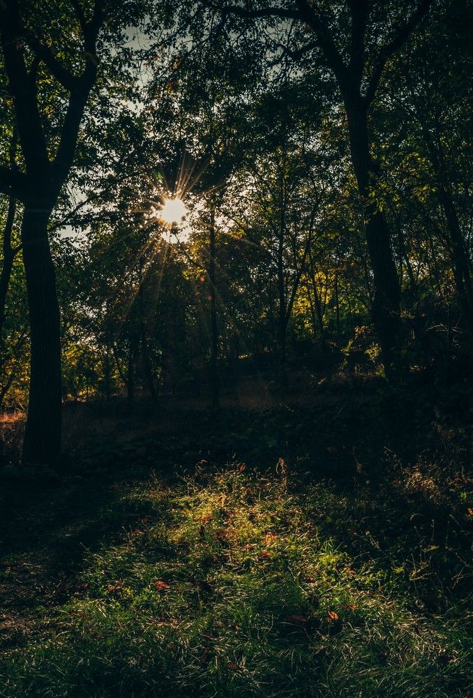 Photograph by Shakar fazel