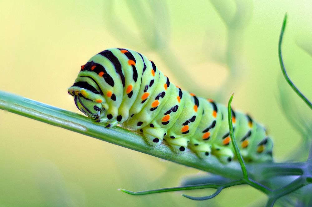 Photograph by Matko Matkovic