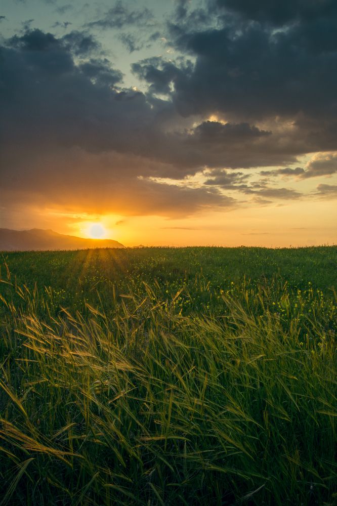 Photograph by Shakar fazel