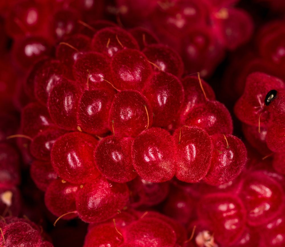 Photograph by Олег Буторин