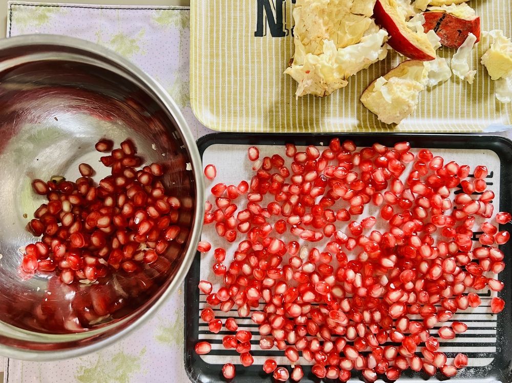 Photograph by Christine ECHEVET-ADAM de VILLIERS