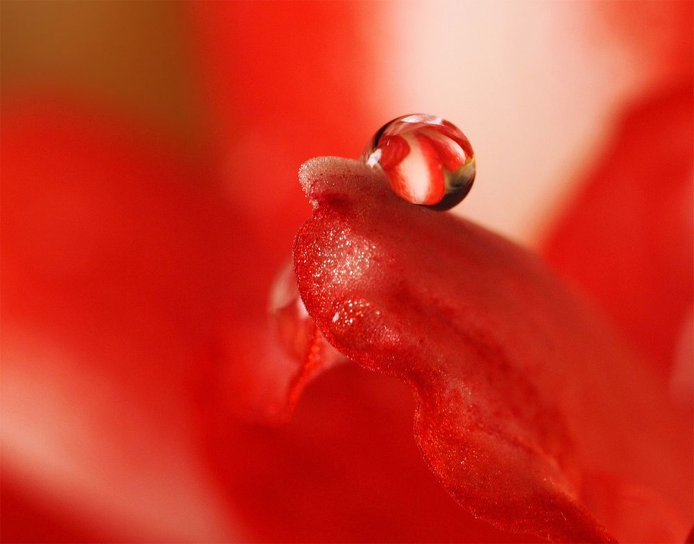 Photograph by Елена Харитонова