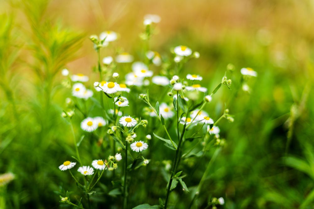 Photograph by Денис Труфанов