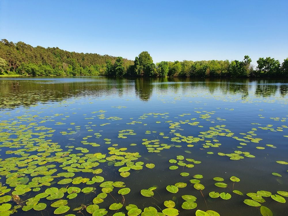 Photograph by Ева К
