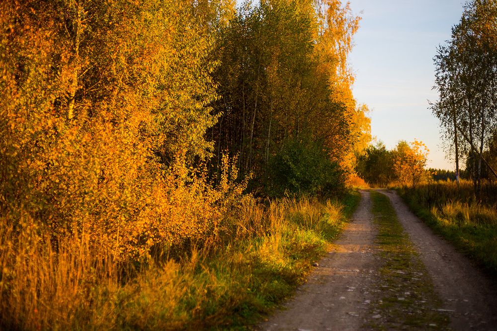 Photograph by Rimma Larkina