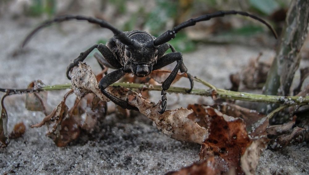 Photograph by Виктор Рыков