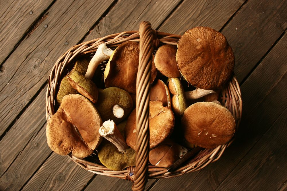 Фотография автора Варвара Власова