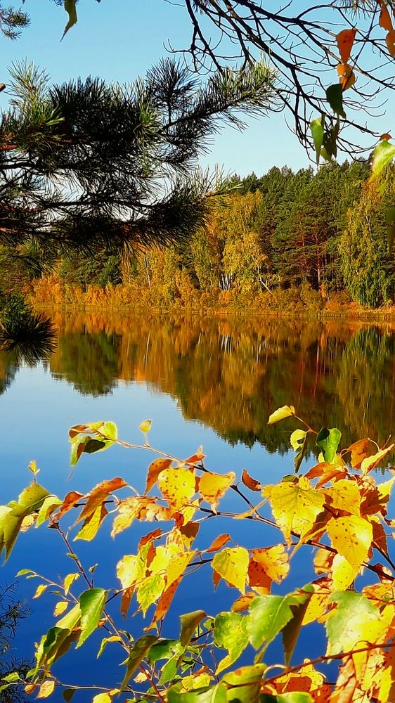 Осенняя палитра.