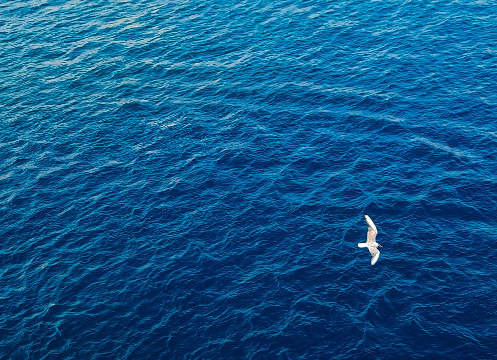 Photograph by Анжелика Костин