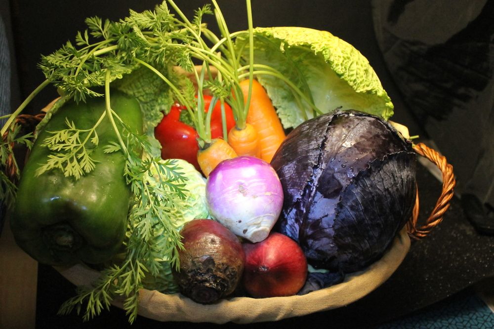 Photograph by Ferreira Francisco