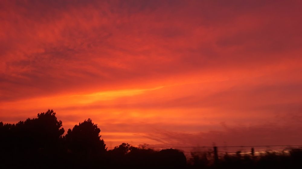 Photograph by Ferreira Francisco