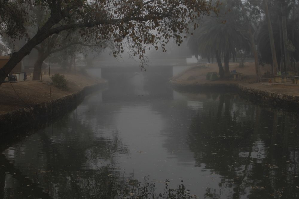 Photograph by Ferreira Francisco