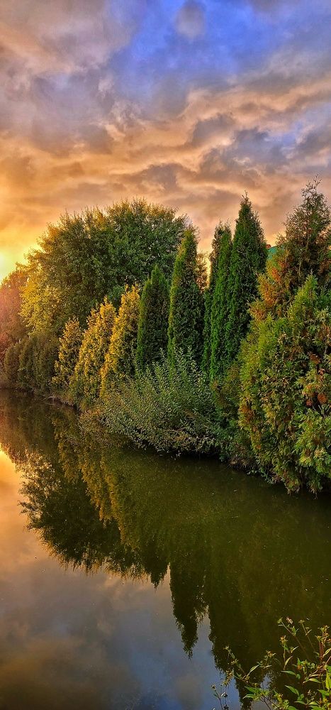 Photograph by Анна Вокуева