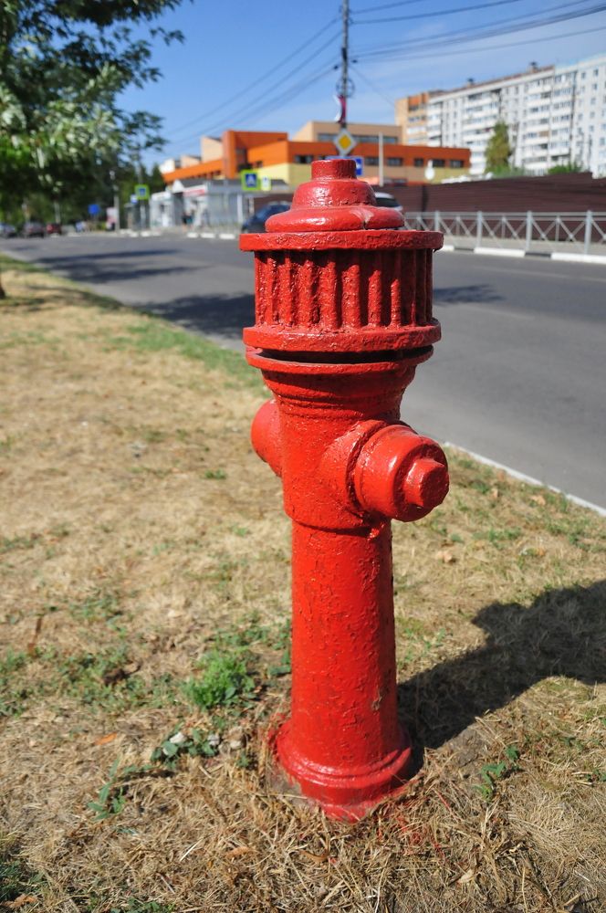 Photograph by Константин