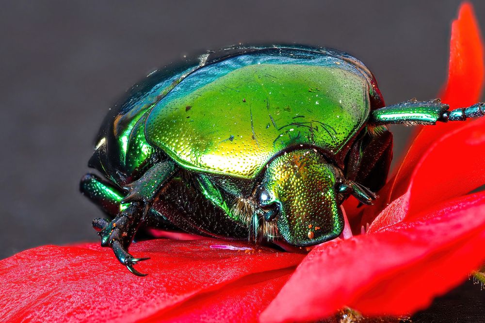 Photograph by Слави Котаров