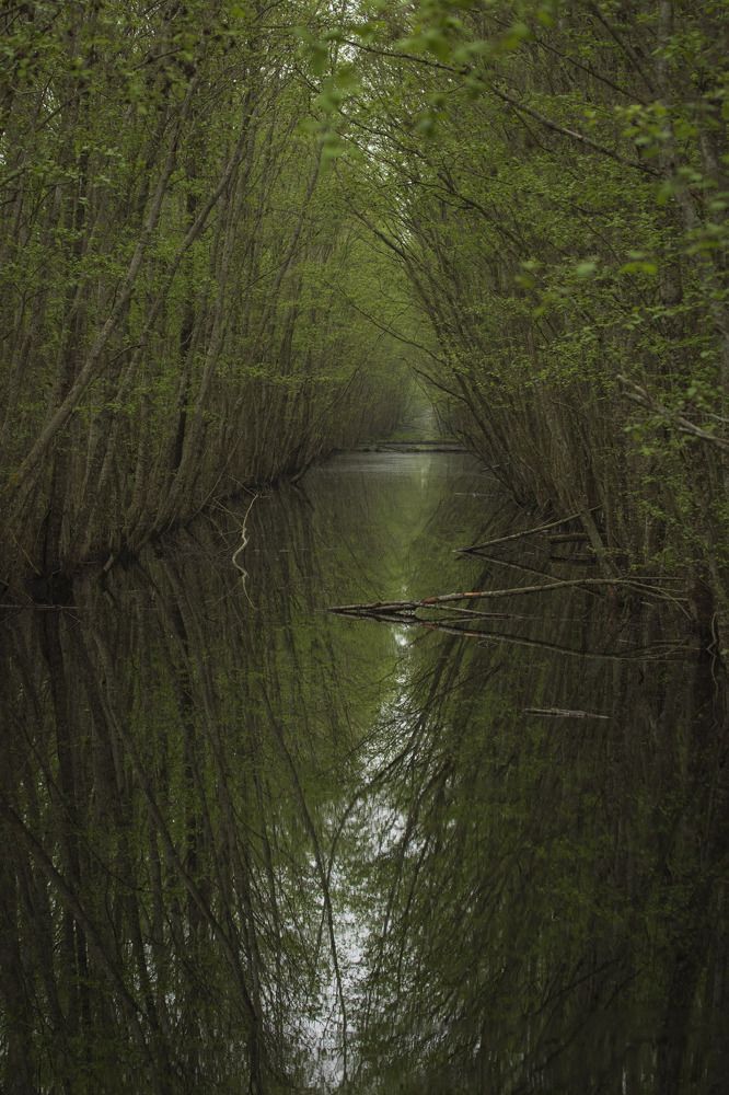 Фотография автора Ольга Никанович