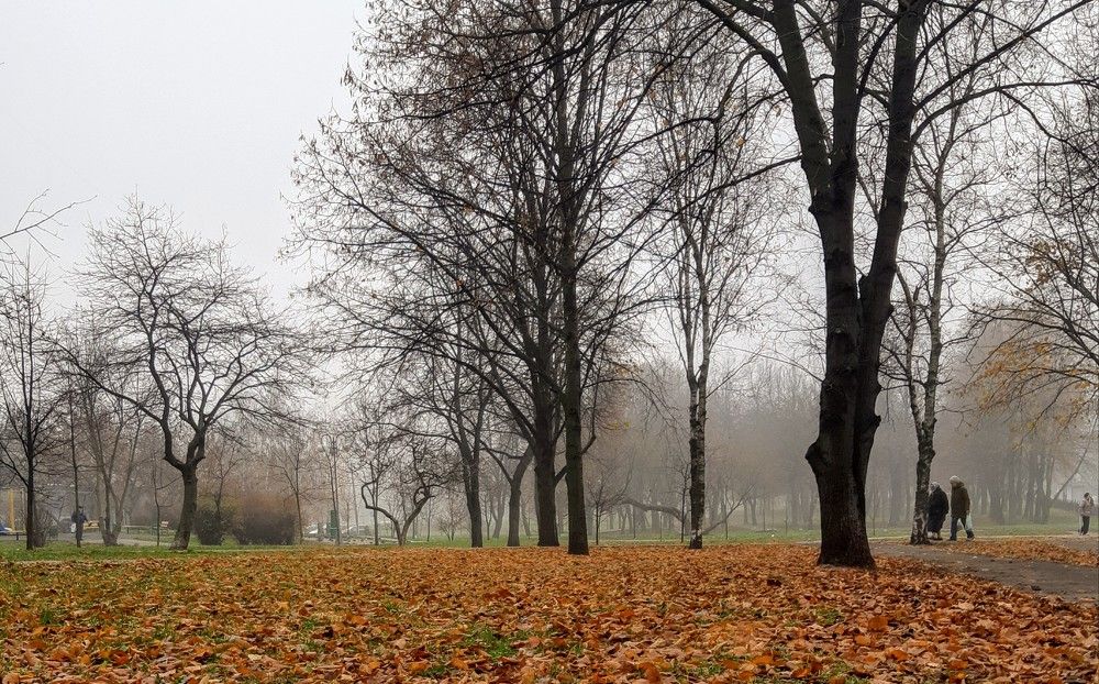 Photograph by Ольга Хромова