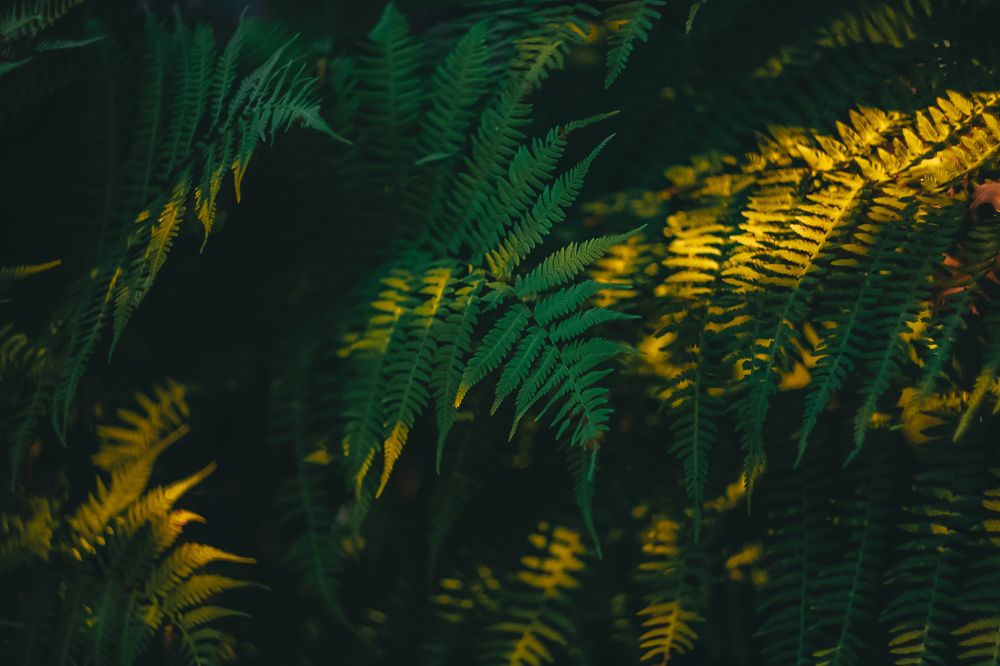 Photograph by Дарья