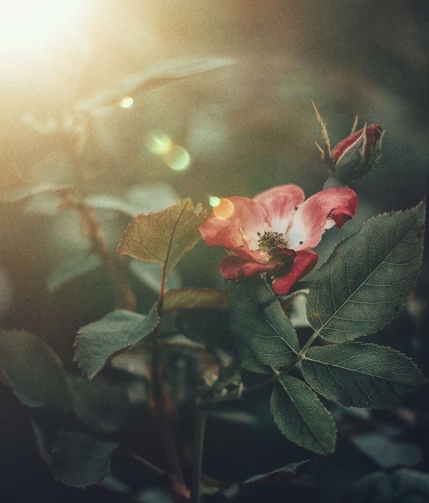 Photograph by Екатерина Кицмен