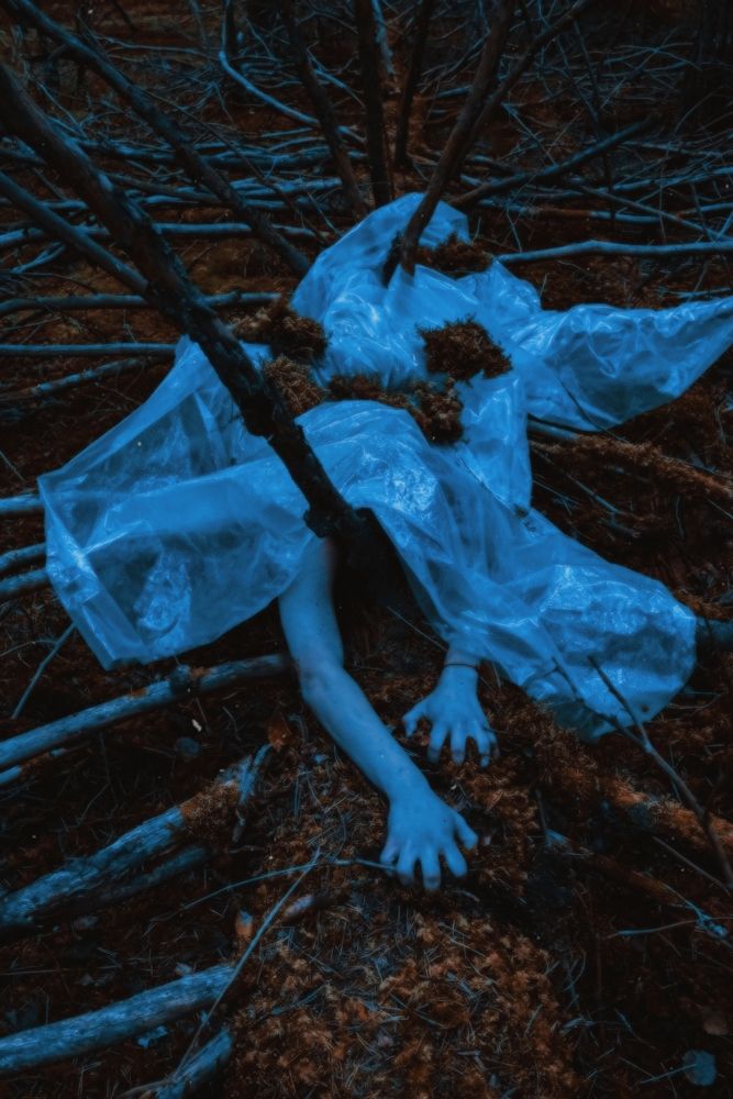 Photograph by Сергей Никифоров