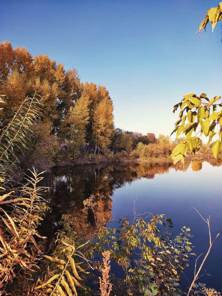 Photograph by Елизавета Дзюбак