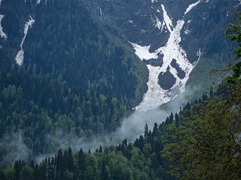 Photograph by Матвей Матвеев