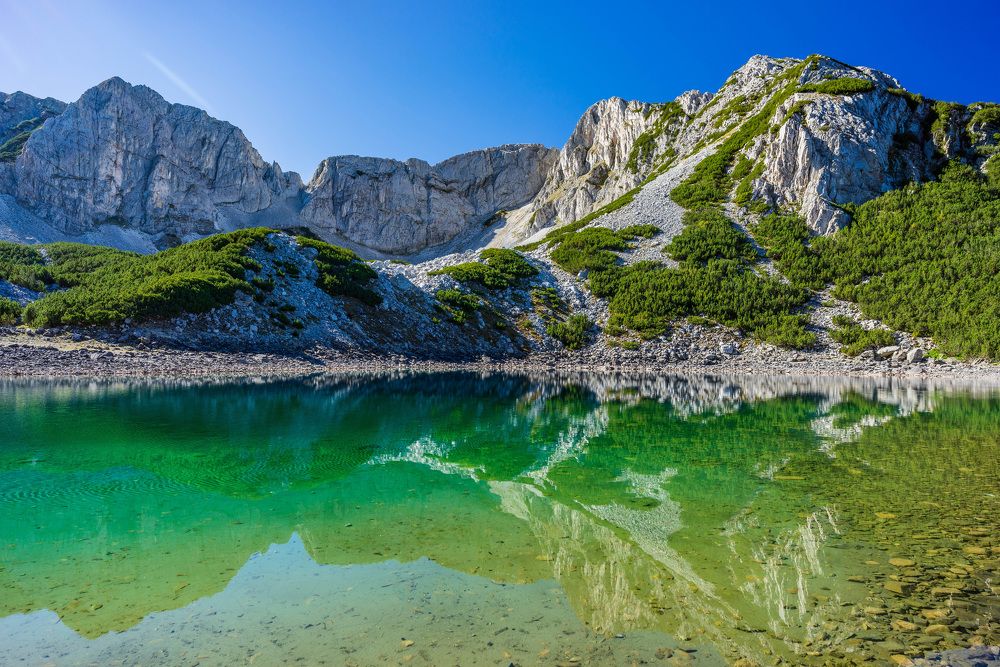 Фотография автора Виктор Демидов