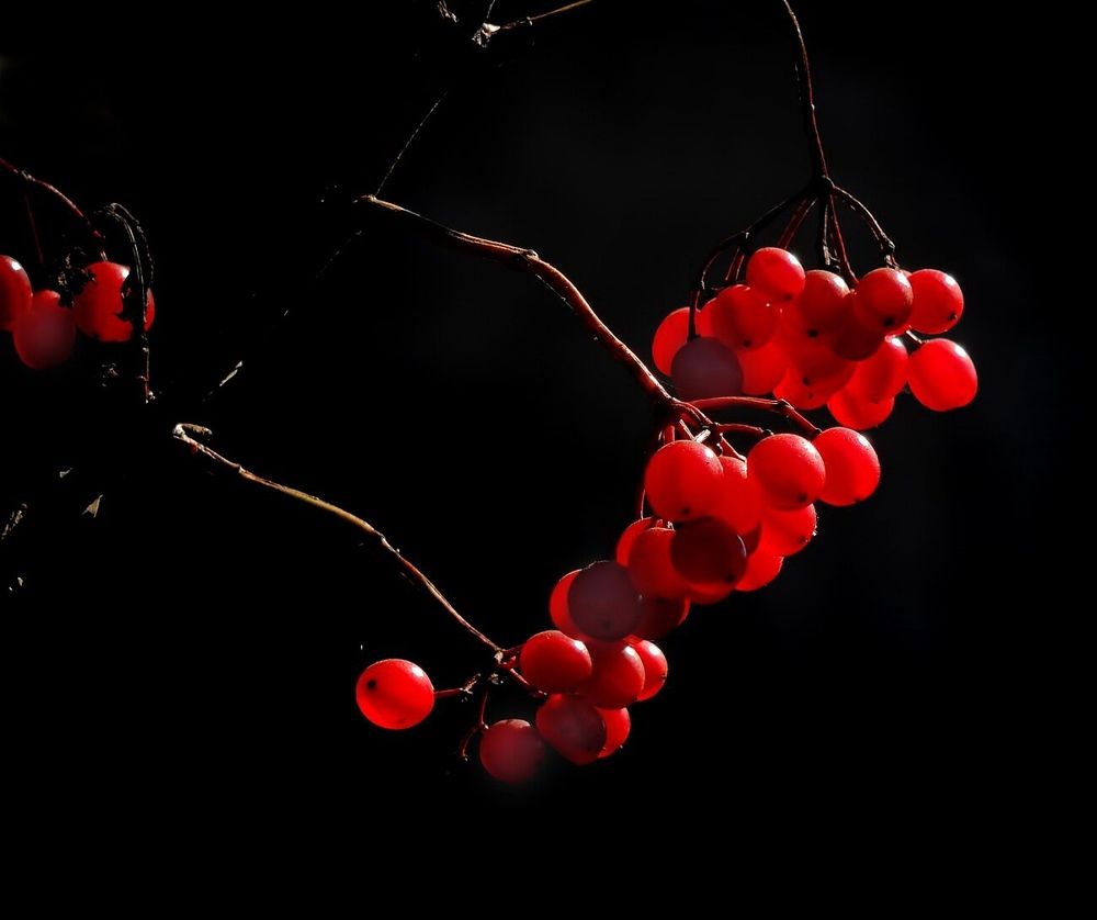 Photograph by Савоцкий Роман