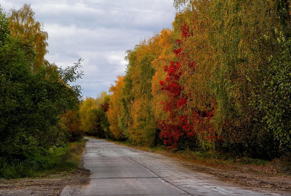 Фотография автора Роман Савоцкий