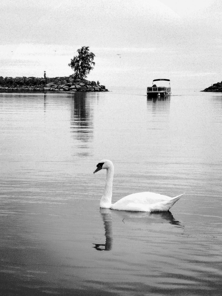 Photograph by Ksenia Kouri